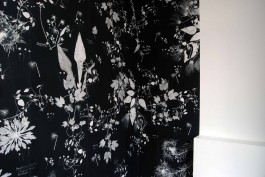 Ebba Fransén Waldhör