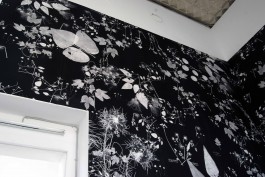 Ebba Fransén Waldhör