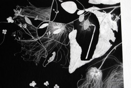 Ebba Fransén Waldhör