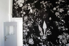 Ebba Fransén Waldhör