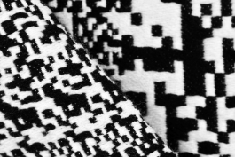 Ebba Fransén Waldhör