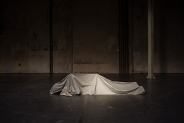 Ebba Fransén Waldhör