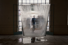 Ebba Fransén Waldhör