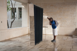 Ebba Fransén Waldhör