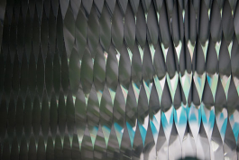 Ebba Fransén Waldhör