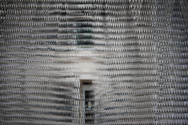 Ebba Fransén Waldhör