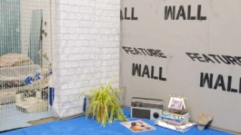 Ebba Fransén Waldhör