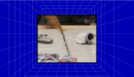 Ebba Fransén Waldhör