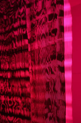 Ebba Fransén Waldhör