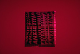 Ebba Fransén Waldhör