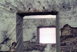 Ebba Fransén Waldhör