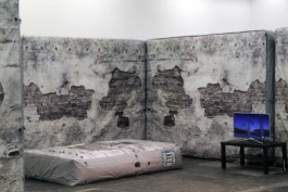 Ebba Fransén Waldhör