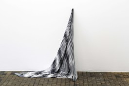 Ebba Fransén Waldhör