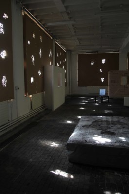 Ebba Fransén Waldhör