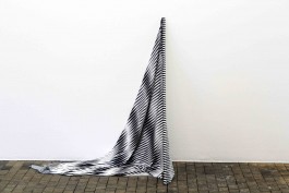 Ebba Fransén Waldhör