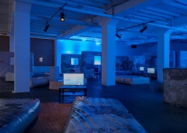 Ebba Fransén Waldhör