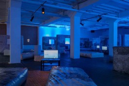 Ebba Fransén Waldhör