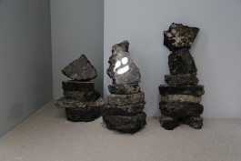 Ebba Fransén Waldhör