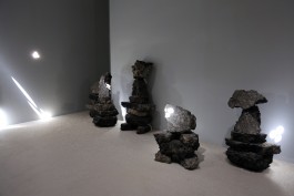 Ebba Fransén Waldhör