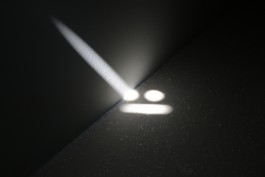 Ebba Fransén Waldhör