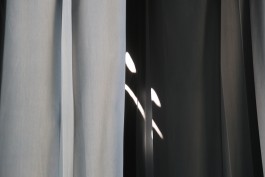 Ebba Fransén Waldhör