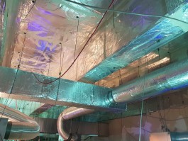 Ebba Fransén Waldhör