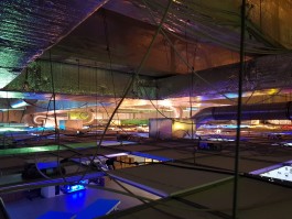 Ebba Fransén Waldhör