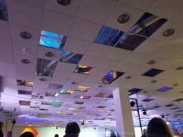 Ebba Fransén Waldhör