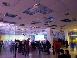 Ebba Fransén Waldhör