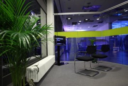 Ebba Fransén Waldhör