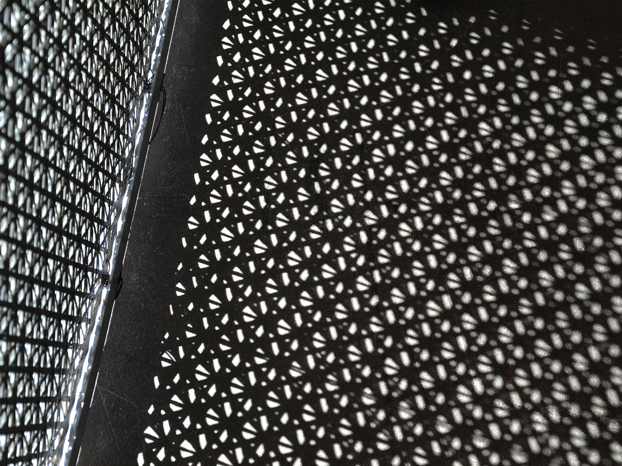 Ebba Fransén Waldhör