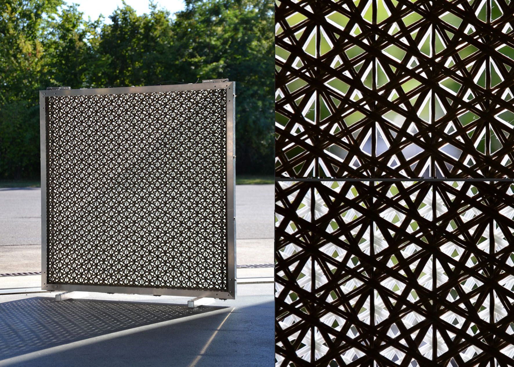 Ebba Fransén Waldhör