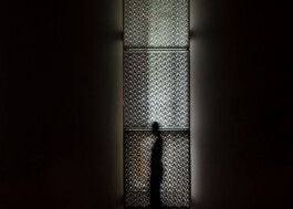 Ebba Fransén Waldhör