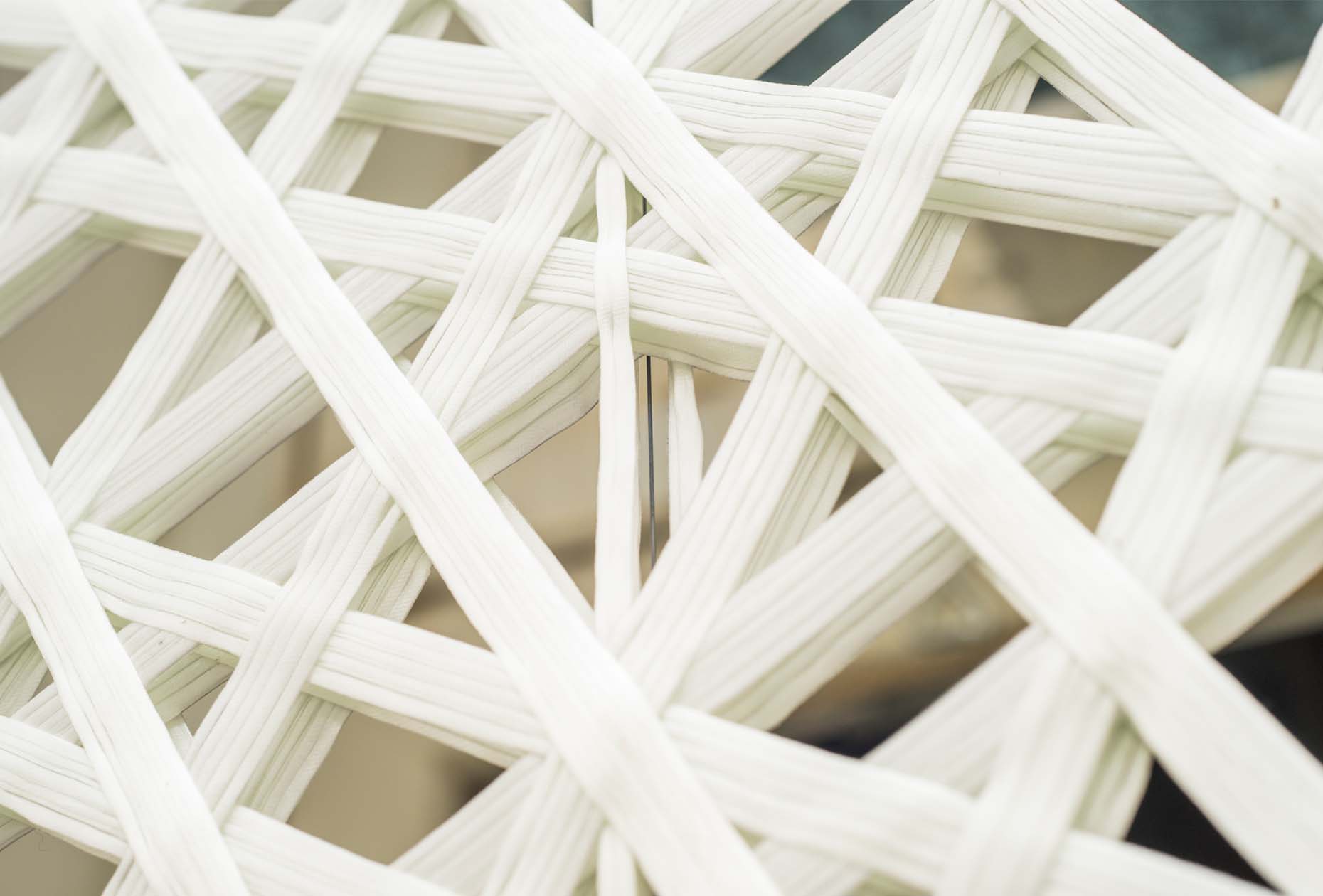 Ebba Fransén Waldhör