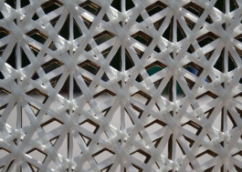 Ebba Fransén Waldhör