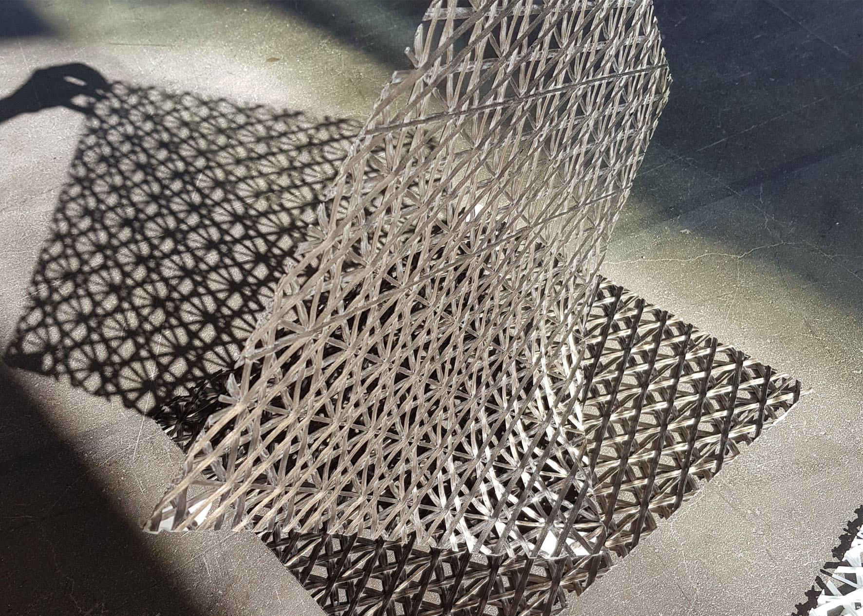 Ebba Fransén Waldhör