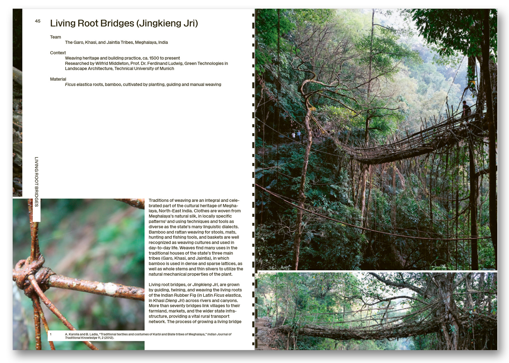 Ebba Fransén Waldhör