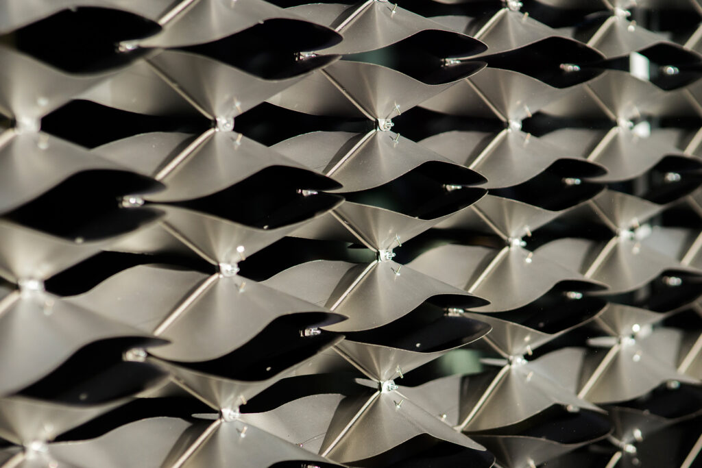 Ebba Fransén Waldhör