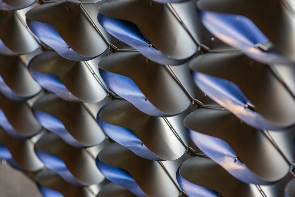 Ebba Fransén Waldhör